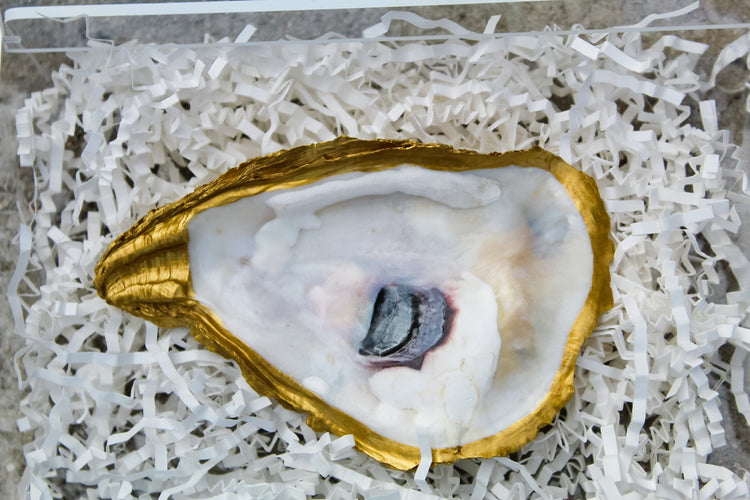 Natural Oyster Shell small
